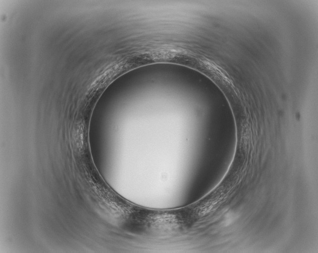 X0000060800501200511141443