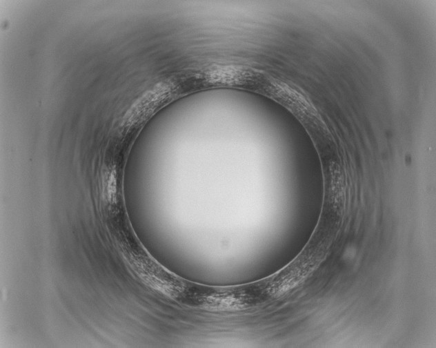 X0000060800502200511141443