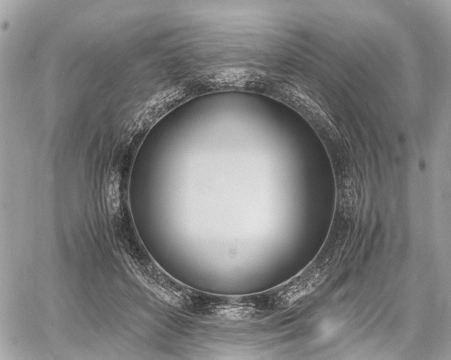 X0000060800504200511141443