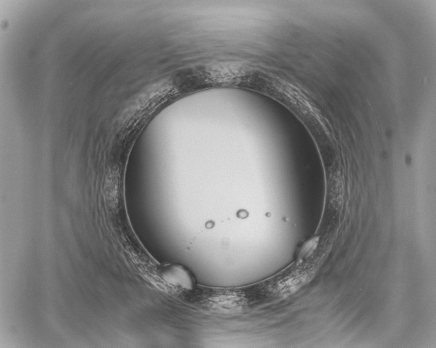 X0000060800505200511141443