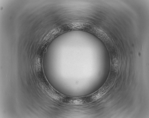 X0000060800506200511141443