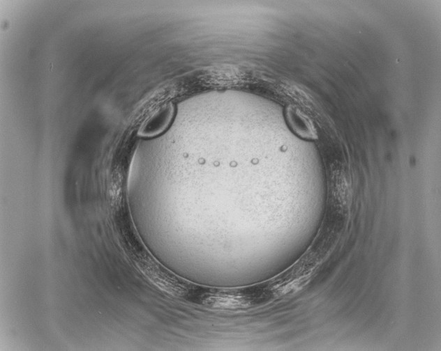 X0000060800507200511141443