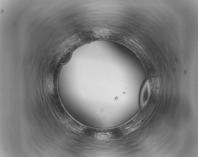 X0000060800508200511141443