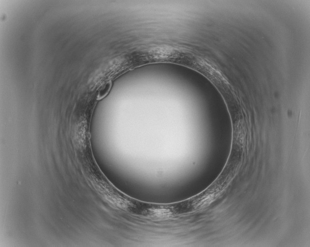 X0000060800509200511141443