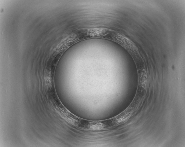 X0000060800510200511141443