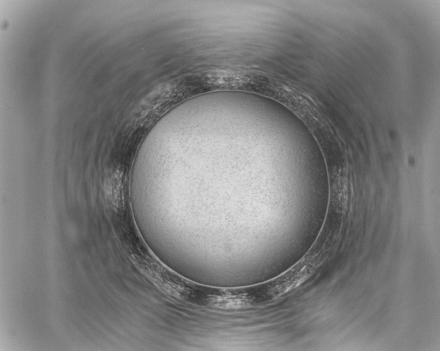 X0000060800511200511141443