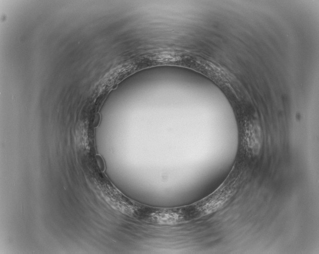 X0000060800512200511141443