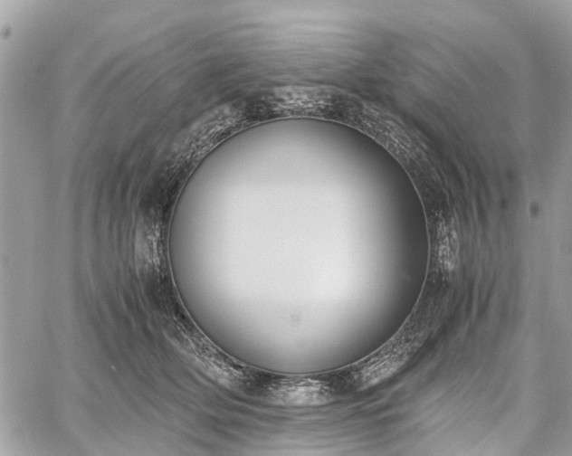 X0000060800514200511141443