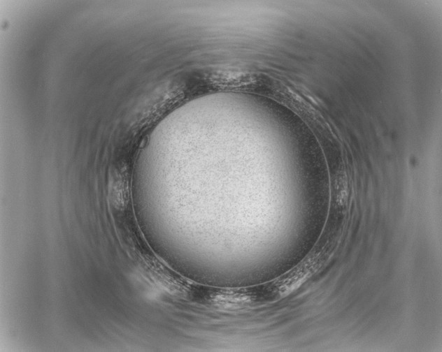 X0000060800515200511141443