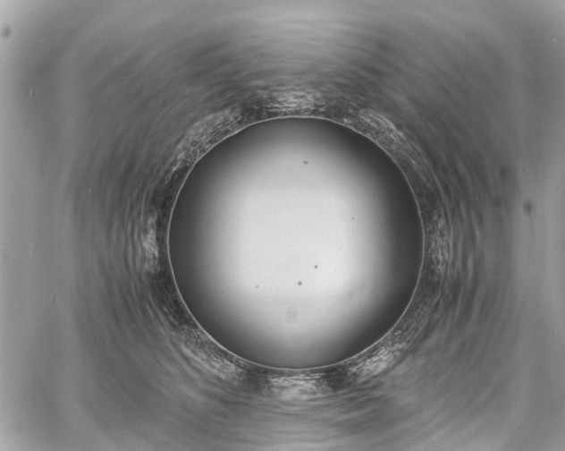 X0000060800516200511141443