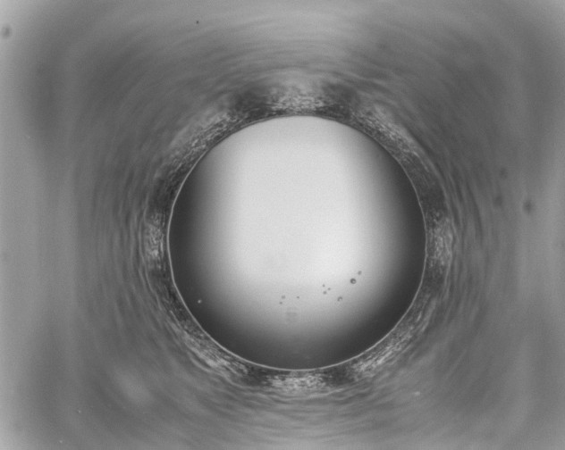 X0000060800517200511141443