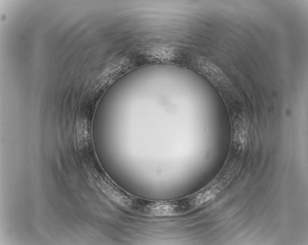 X0000060800518200511141443