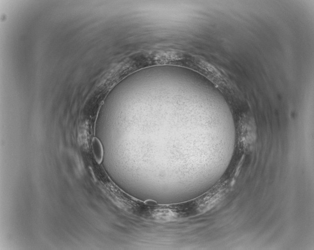 X0000060800519200511141443