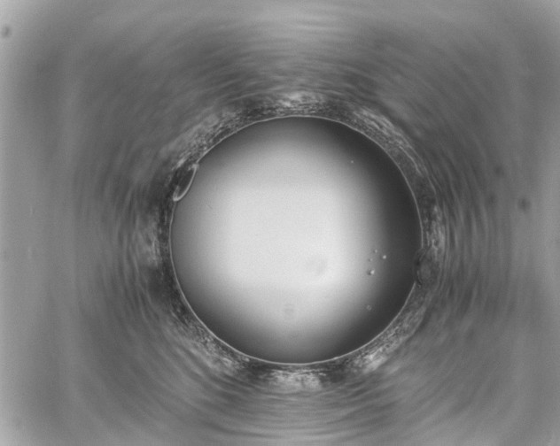 X0000060800520200511141443