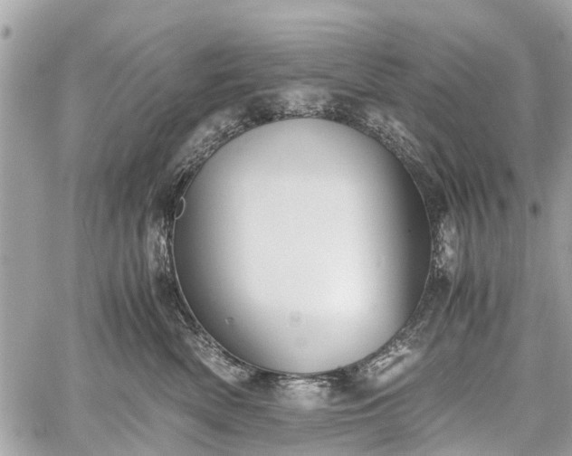 X0000060800522200511141443