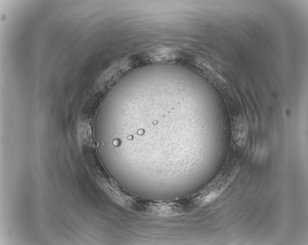 X0000060800523200511141443