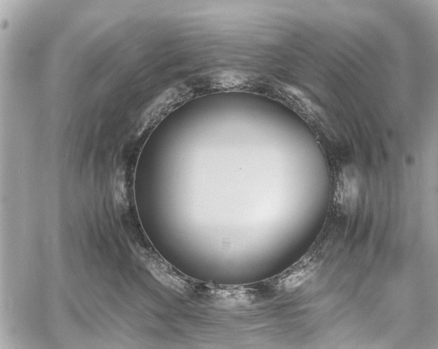 X0000060800524200511141443