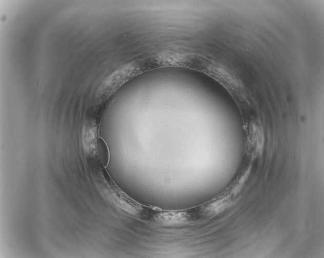 X0000060800526200511141443