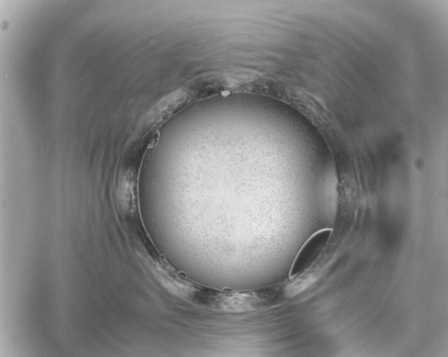 X0000060800527200511141443