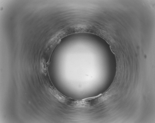 X0000060800528200511141443