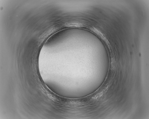 X0000060800529200511141442