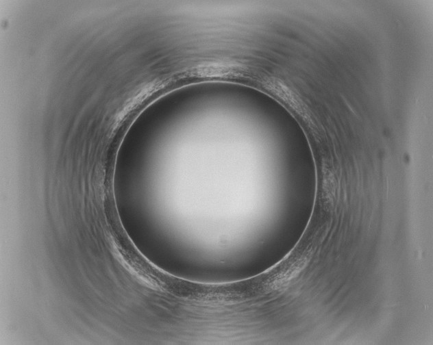 X0000060800530200511141442