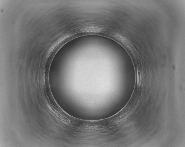 X0000060800531200511141442