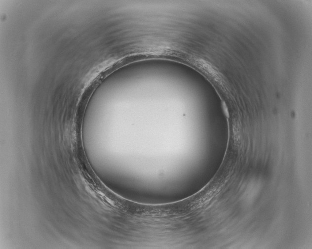 X0000060800532200511141442