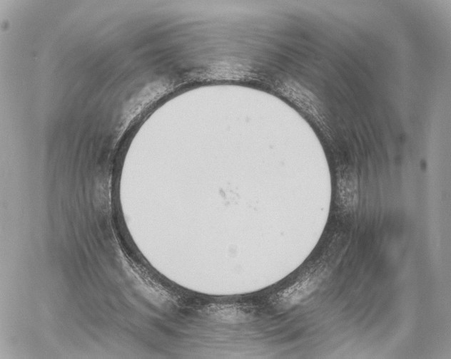 X0000060800534200511141442