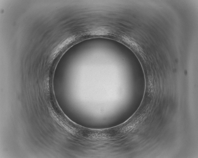 X0000060800535200511141442