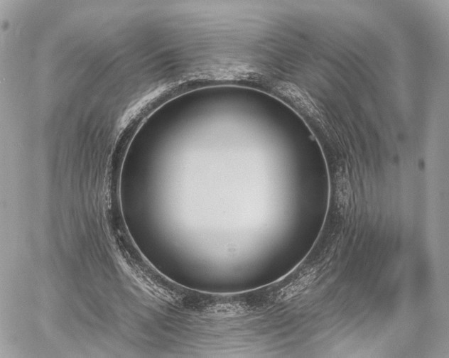 X0000060800536200511141442