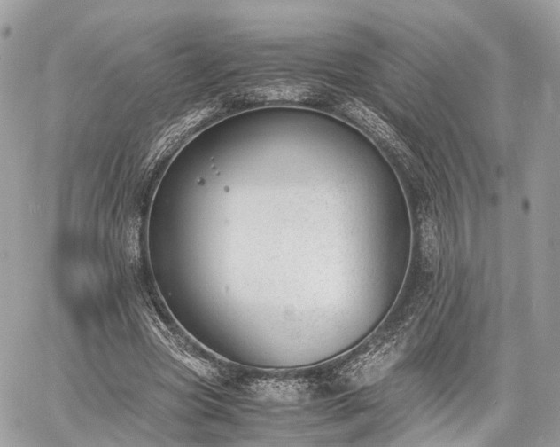 X0000060800537200511141442