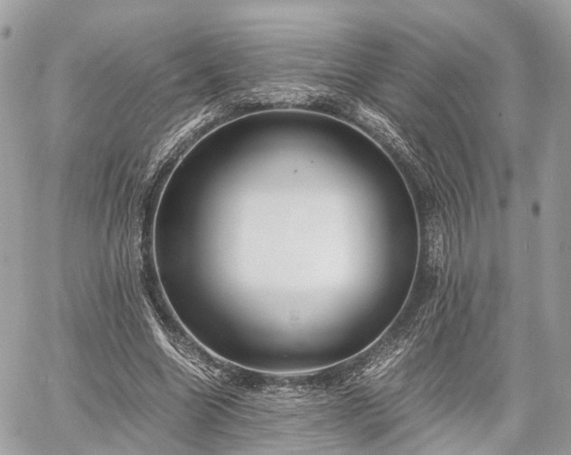 X0000060800538200511141442