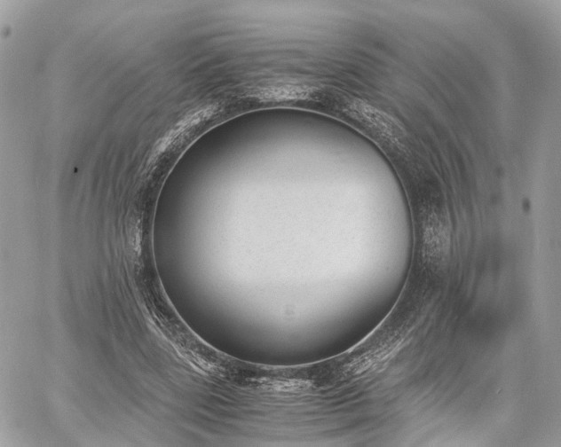 X0000060800539200511141442