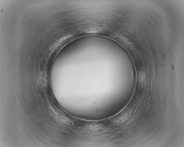 X0000060800540200511141442