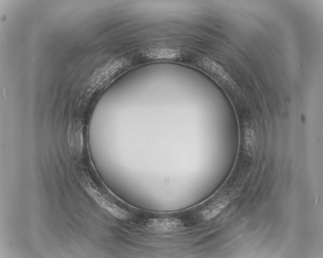 X0000060800541200511141442