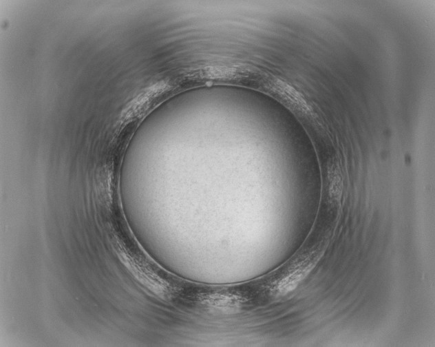 X0000060800542200511141442