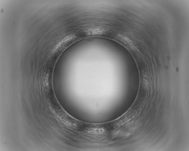 X0000060800543200511141442