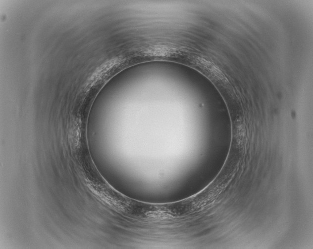 X0000060800544200511141442