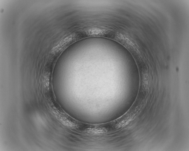 X0000060800545200511141442