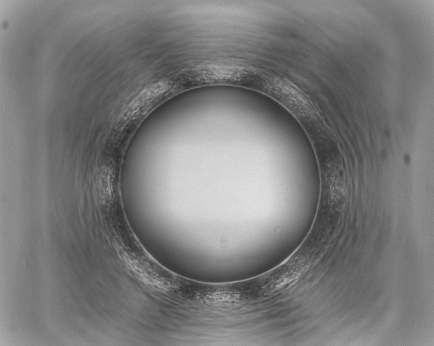 X0000060800546200511141442