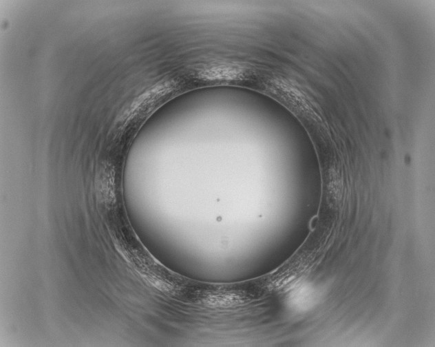 X0000060800547200511141442