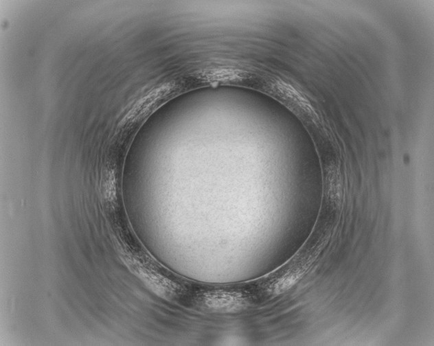 X0000060800549200511141442