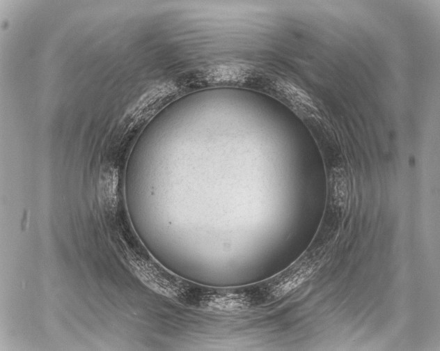 X0000060800550200511141442