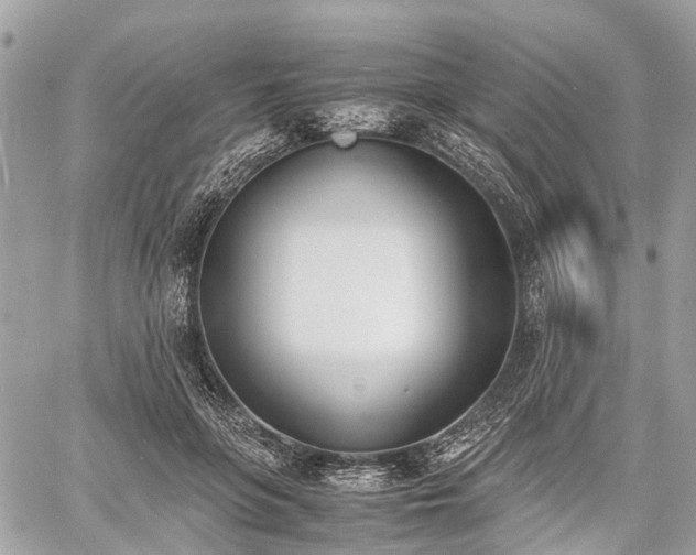 X0000060800551200511141442