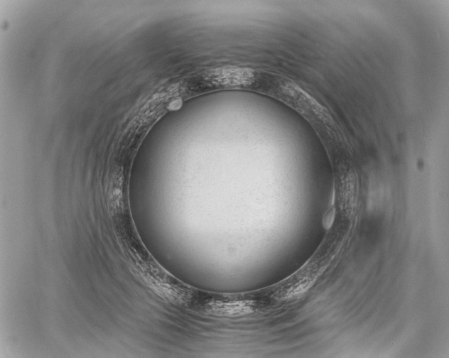 X0000060800553200511141443