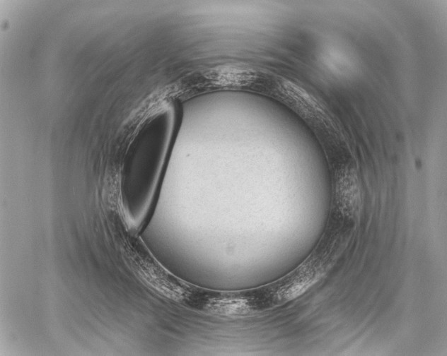 X0000060800554200511141443