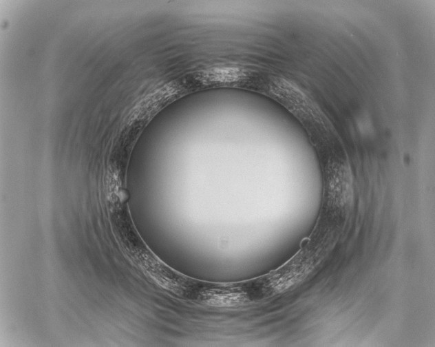 X0000060800555200511141443