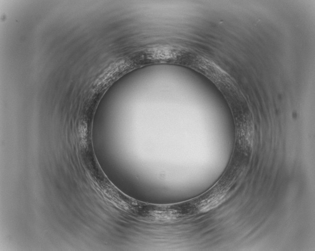 X0000060800556200511141443