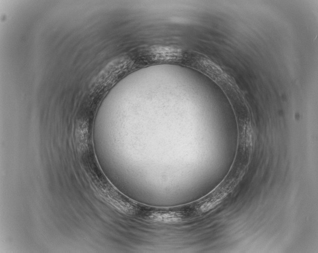 X0000060800557200511141443